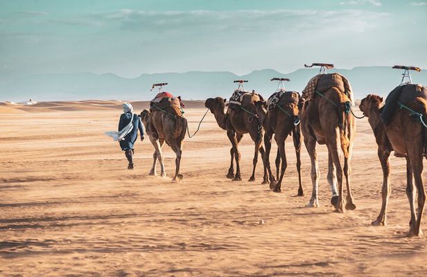 2day Shared tour to zagora desert via Atlas mountains