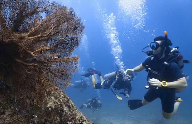 Fun Dive on Racha Islands for Certified Divers Only