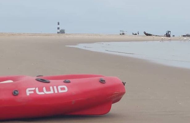 Seal Kayaking & Sandwich Harbour Tour
