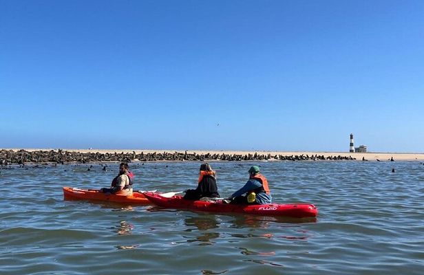 Seal Kayaking & Sandwich Harbour Tour