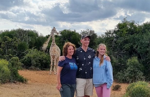 Full Day Addo And Giraffe Walk