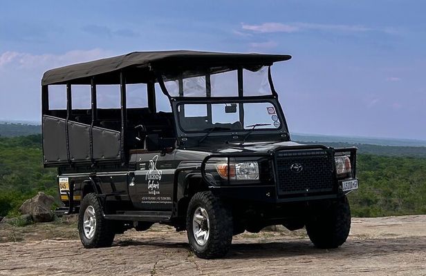 Half Day Kruger Safari Tour from Malelane and Komatipoort