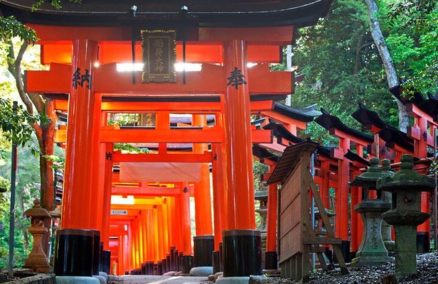 Kyoto Full-Day Bus Tour: Nijo, Arashiyama & Fushimi Inari (EN/ES)