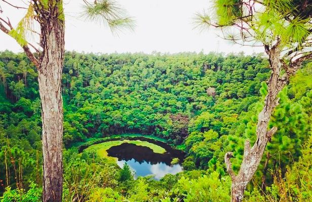South Mauritius Rhum, Lychee Wine And Tea Tasting Tour