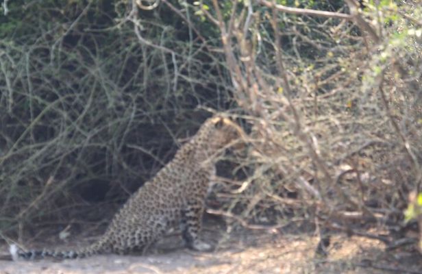 4 Day Victoria Falls, Hwange and Chobe National Park