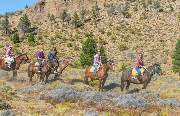 Bariloche Horseback Riding in the Patagonian Steppe with Argentine Roast