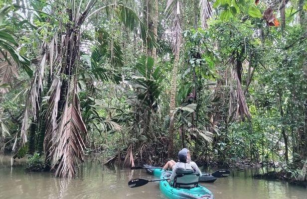 Private Kayak Tour of the Tortoise Canals