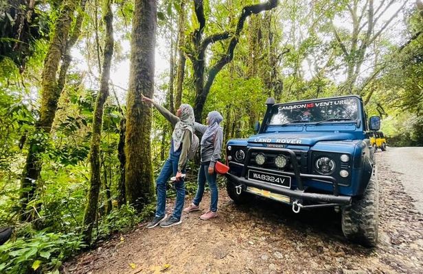 Full Day Mossy Forest Experience