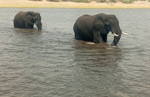 8-Day Victoria Falls, Chobe National Park and Okavango Delta Tour