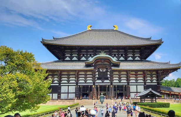 Nara Todaiji Kasuga Taisha Private Full Day Tour From Kyoto
