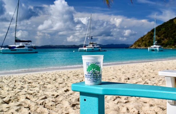 BVI Private Charter to Jost Van Dyke on 32' Power Catamaran