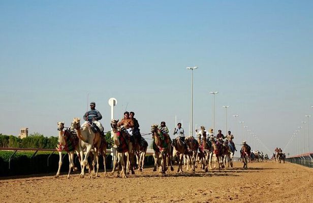 Doha: West Coast Tour Sculpture,Camel Racing Track Rock Formation