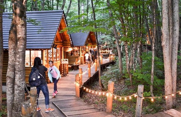 Hokkaido Asahiyama Zoo, Biei & Ningle Terrace Day Tour | Hokkaido