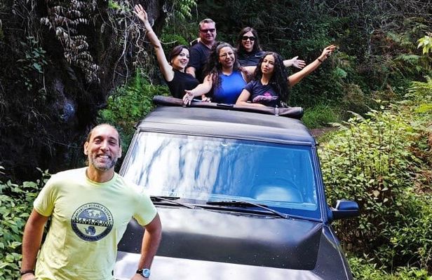 Madeira: Experiência 4WD Skywalk para Seixal Porto Moniz, Fanal