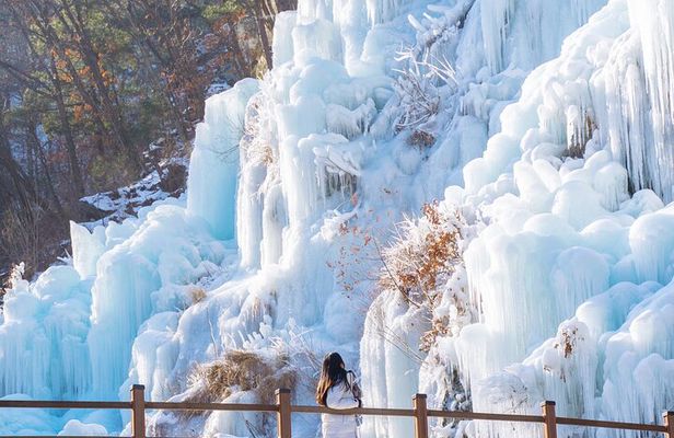 Eobi Valley, Alpaca World, Nami Island, Railbike/Garden fr Seoul