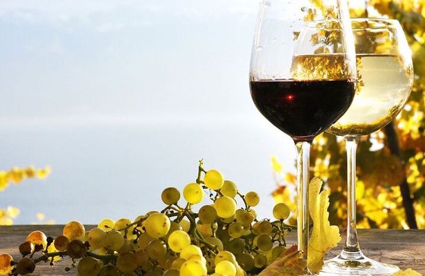 Nemea and Nafplio Wine Roads Private Day Tour