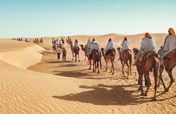Douz Two Day Camel Trek with Overnight Camp in the Desert
