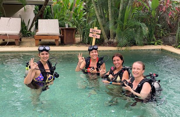 Discover Scuba Dive Catalinas Islands