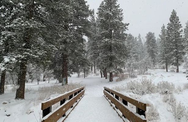Ultimate Snowplay Adventure at Mount Charleston