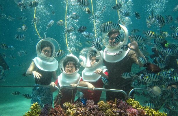 St Maarten SeaTrek and Snorkeling Adventure