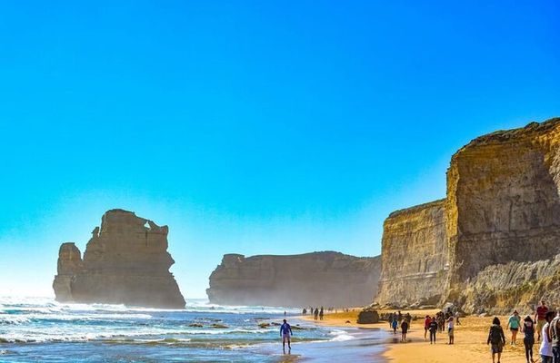 Melbourne: Explore Great Ocean Road by Private Tour