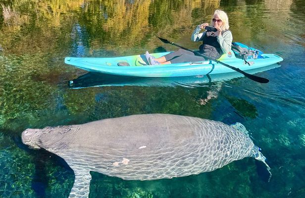 Silver Springs Premium Florida Wildlife Experience!