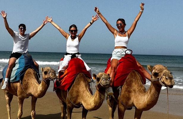 Morocco: Tangier Private Tour With Breakfast & Lunch From Malaga