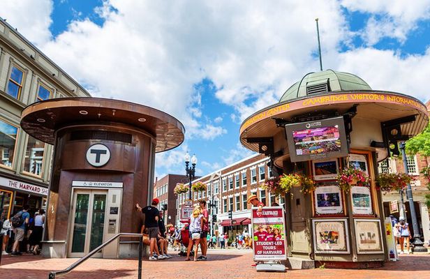 Harvard Square Donut Adventure