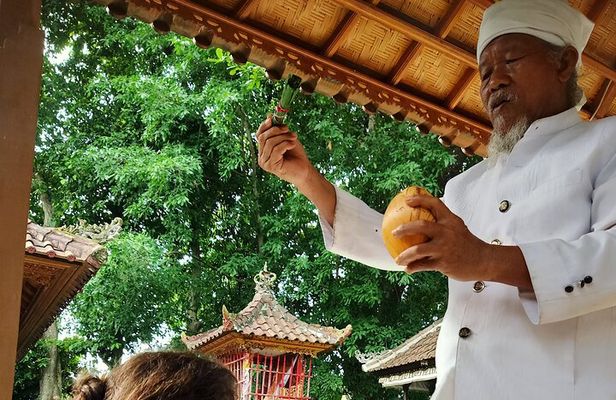 Bali Spiritual Shamanic-Palm Reading, Temple Healing Tour
