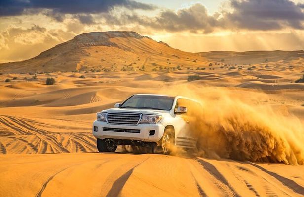 Shared Desert Safari in Dubai