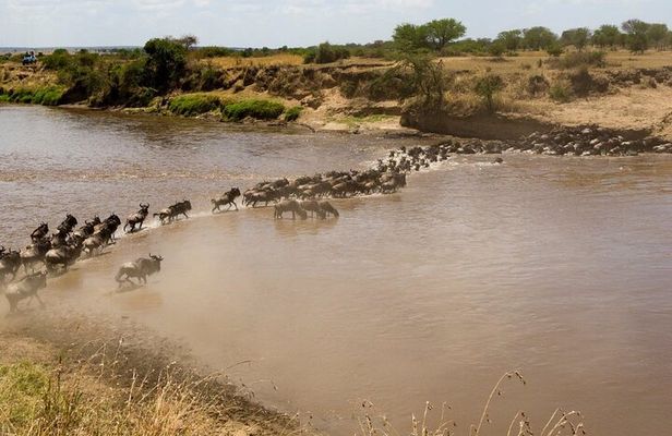 5 Days Safari Camping Tour
