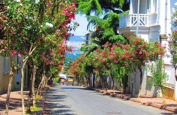 Istanbul Princess Island Tour with Electrical Car and Lunch