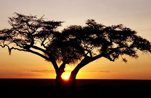 2 Days Hluhluwe Imfolozi Safari Tour