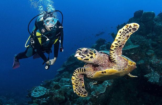 Zakynthos Scuba Diving Experience with Underwater Photos