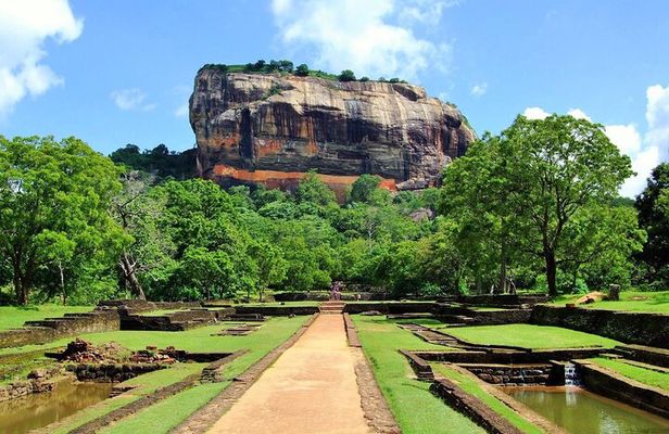 Sigiriya Rock Tour & Minneriya Halfday Safari Tour Sri Lanka