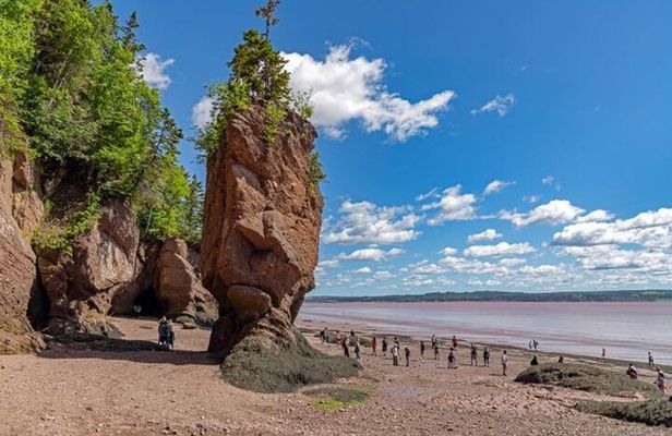 Saint John (NB) Bay of Fundy and Hopewell Rocks Private Tour