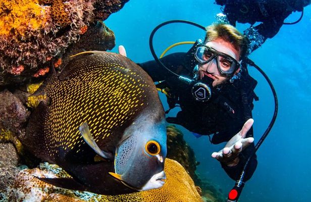 Scuba Diving in Rio de Janeiro