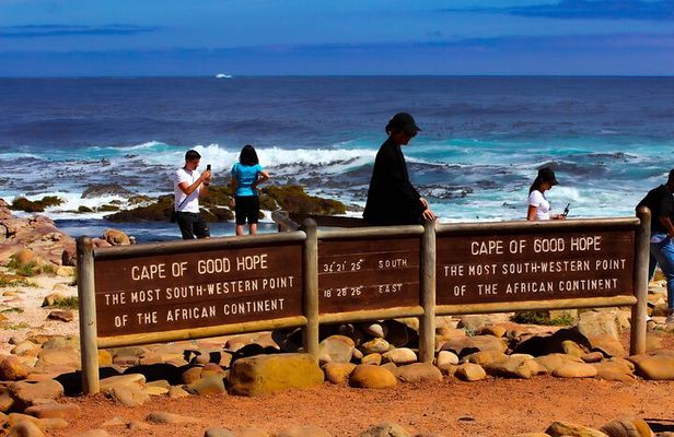 Cape of Good Hope and Penguins Half Day Tour