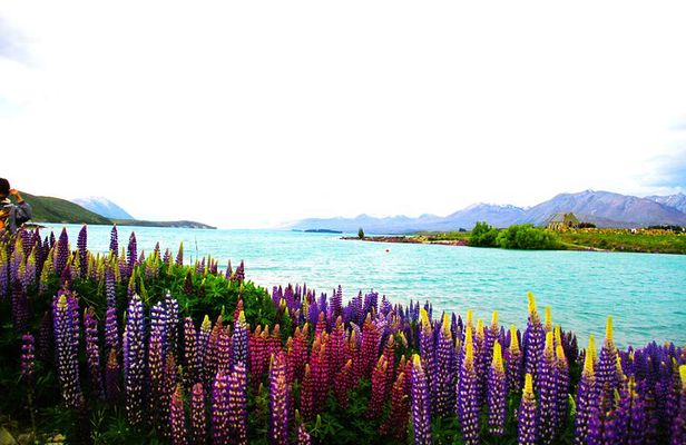 Mount Cook & Lake Tekapo 2-Day Stargazing tour from Christchurch