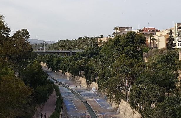 Alicante & Elche Small Group Tour with Palm Grove and Castle
