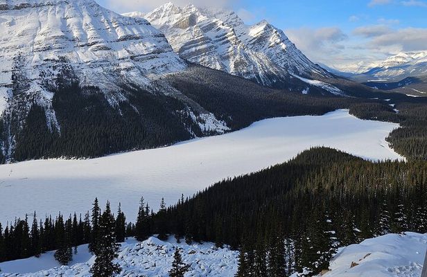 Banff, Icefield Pkwy Full Day Winter Wonderland Private Tour