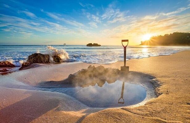 Coromandel Day Tour From Auckland