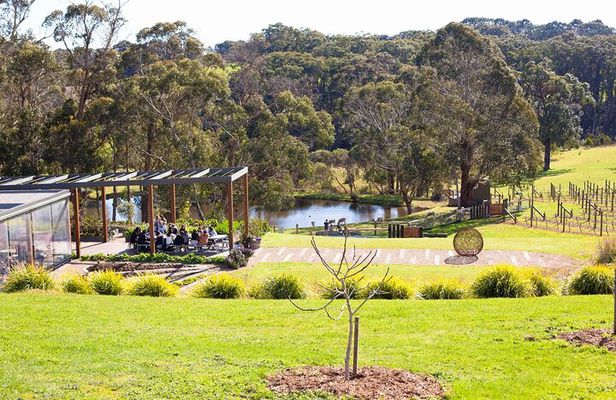 Mornington Peninsula Boutique Wine and Lunch Small Group Tour
