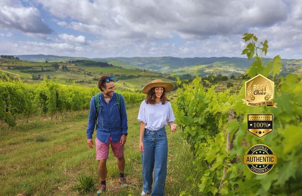 Hiking Tuscany & Chianti Wine - 3 Organic Wineries with lunch