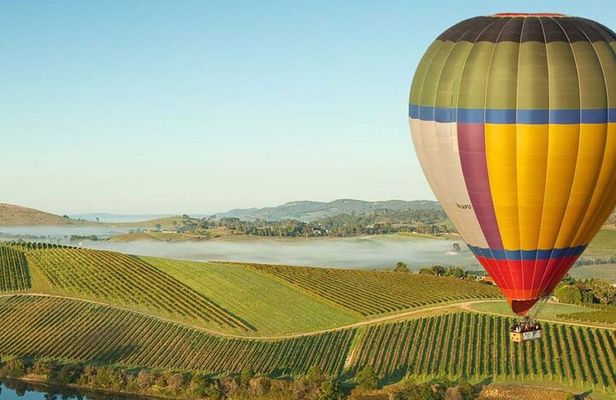 Melbourne Yarra Valley Wineries Explore Private Tour