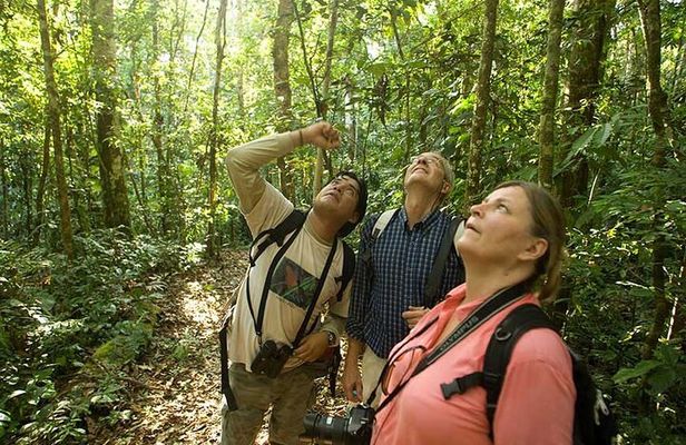  Waterfall, rainforest and Coffee/Chocolate Tour