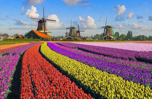 Best of Netherlands: Zaanse Schans Mills, The Hague & Rotterdam