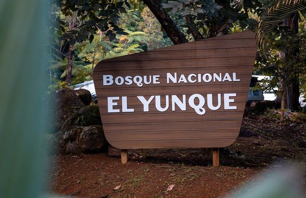 El Yunque Private Bus Tour