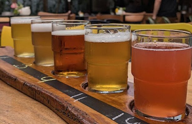 Albanian Craft Beer Tasting in Tirana with a Mix Pair Plater