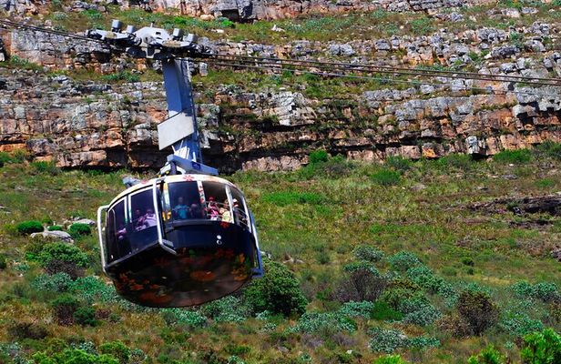 Cape Town Table Mountain and Peninsula Tour